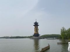 -溱湖国家湿地公园