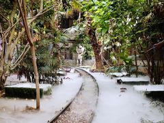 -呀路古热带植物园