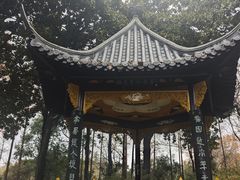 -梅园