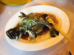 -紫阳海鲜楼·传承闽味(长乐路总店)
