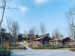 -黄龙溪欢乐田园