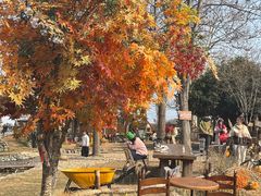 -HERRE·FARM 赫尔露营农场·团建聚会包场