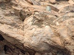 -武当山风景区