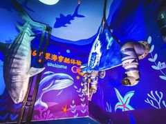 -烟台海昌鲸鲨海洋公园