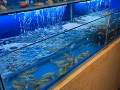 -芭菲盛宴·环球美食(北城国际店)