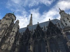 -斯蒂芬主教座堂(Stephansdom)