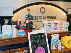 -宠爱国际动物医院·消化内科·心肾内科·ISFM猫友好(望京店)