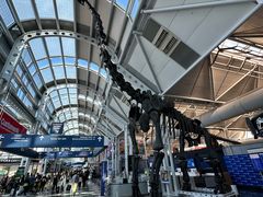 -奥黑尔国际机场