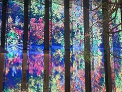 -桂满陇·海市蜃楼·黑金(国金店)