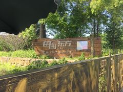-田园东方蜜桃村的田野营地