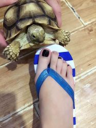 iphone_upload_pic-Easy Lady美甲美睫半永久纹绣工作室