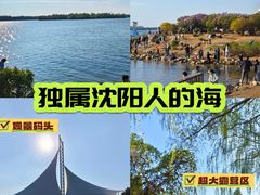 -丁香湖公园