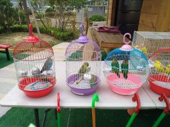 -萌宠亲子动物乐园(槐房万达店)