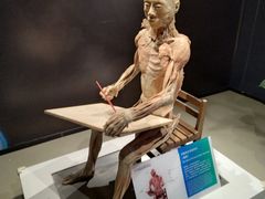 -生命奥秘博物馆