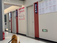 -御宝贝24h宠物医院·转诊中心·CT核磁血透中心(厦门总院)