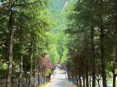 -浮戏山雪花洞风景名胜区