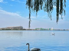 -北龙湖湿地公园