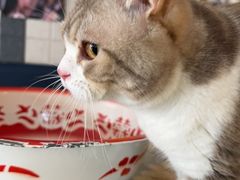 -平行世界·猫咖(首经贸店)