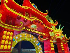 -武汉园博园(武汉自然博物馆)