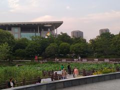 -海天湖公园