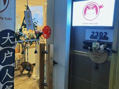 -楼上猫咖(罗湖店)