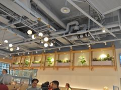 -翡翠拉面小笼包Crystal Jade(上海浦东国际机场T1店)