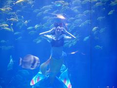 -华夏文旅海洋公园