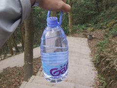 -银瓶嘴森林公园