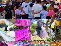 -中环花鸟鱼虫市场