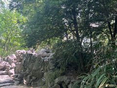-秋霞圃