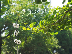 -都江堰景区