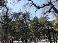 -晋祠公园