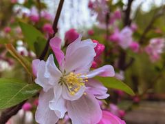 -元大都城垣遗址公园