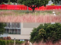 -红花山公园