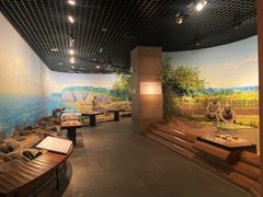 -烟台市博物馆