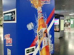 -宋家庄(地铁站)