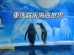 -重庆欢乐海底世界