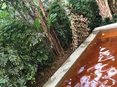 -仁爱团泊湖温泉中心