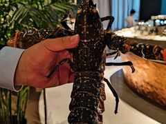 -Oyster Talks 四度蚝法餐厅