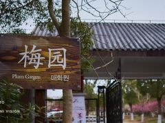 -上海海湾国家森林公园