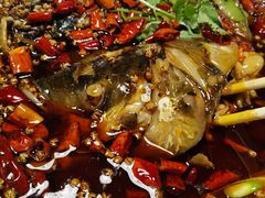 -味之绝热血美蛙鱼火锅(中坝店)