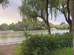 -北陵公园