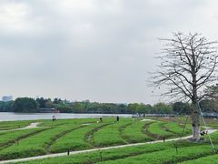 -海珠湖公园
