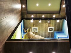 -清真益鑫羊肉手抓馆(南大街店)