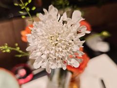 -半秋山西餐厅(巴南万达广场店)