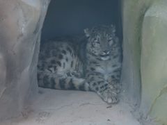-青藏高原野生动物园