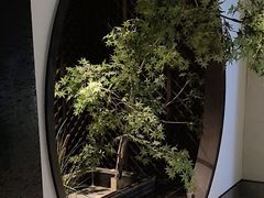 -见康道莱•足浴按摩•艾灸•SPA(友谊店)