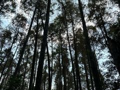 -同里国家湿地公园