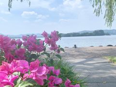 -浙江西子宾馆·瑶园咖啡厅