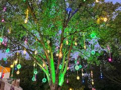 -横店影视城梦幻谷园区